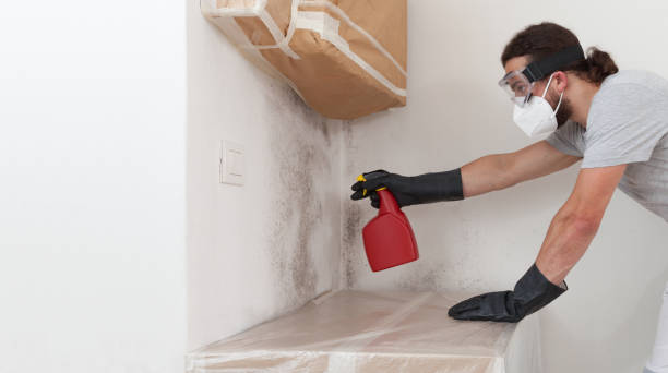 Professional Black Mold Removal technician working in Garrett Park, MD